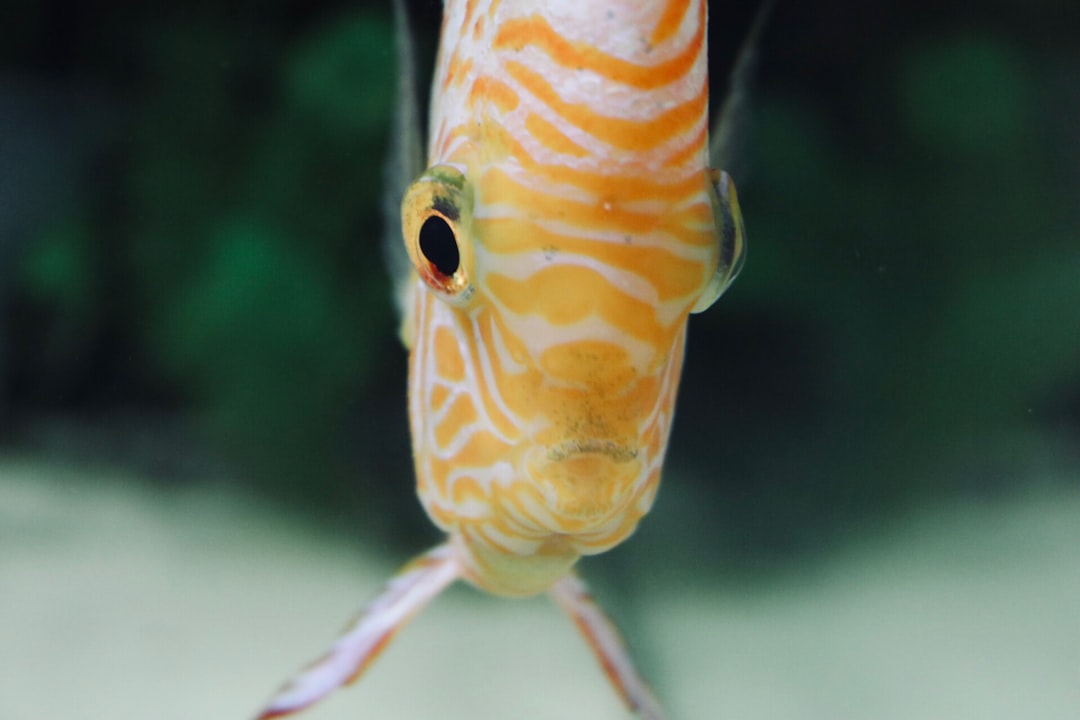 The Hidden Clues (Image Credits: Unsplash)