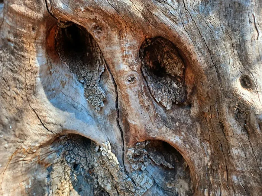 The Minimal Recipe: Two Eyes, One Suggestion of a Mouth (Image Credits: Pexels)