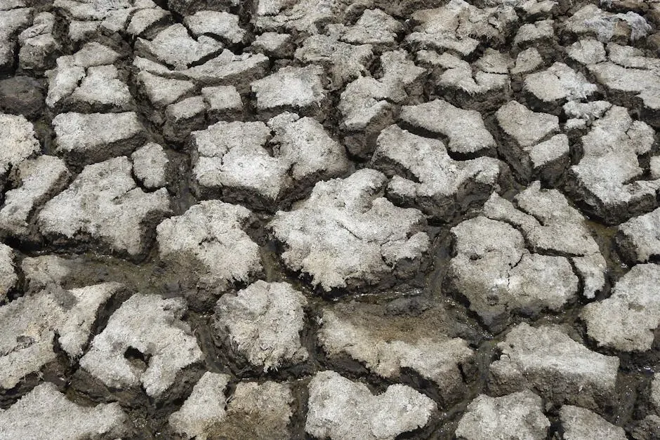 How Climate Change Is Turning up the Heat on an Already Fragile Sea (Image Credits: Pexels)