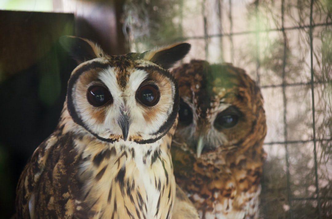 Science Meets Story: Bridging Knowledge Systems (Image Credits: Unsplash)