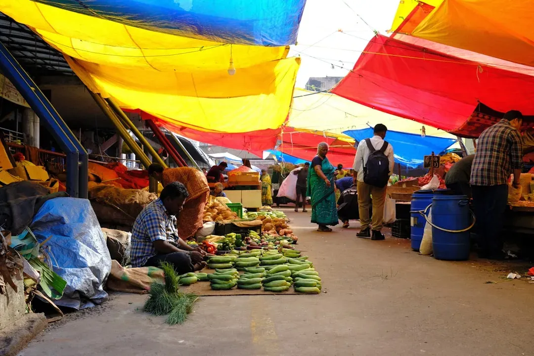 The Hidden Trade Empire: Muscogee Markets that Fed Two Worlds (Image Credits: Unsplash)