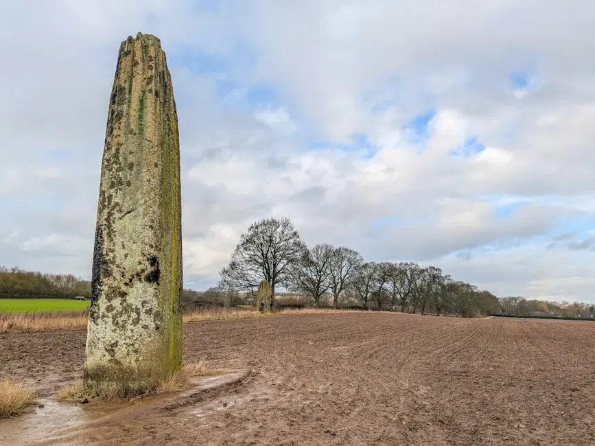 Theory 4: Territorial Markers and Claims of Land (Image Credits: Pexels)