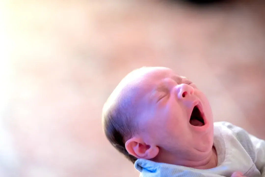 Yawning Before You Were Even Born: The Fetal Connection (Image Credits: Unsplash)