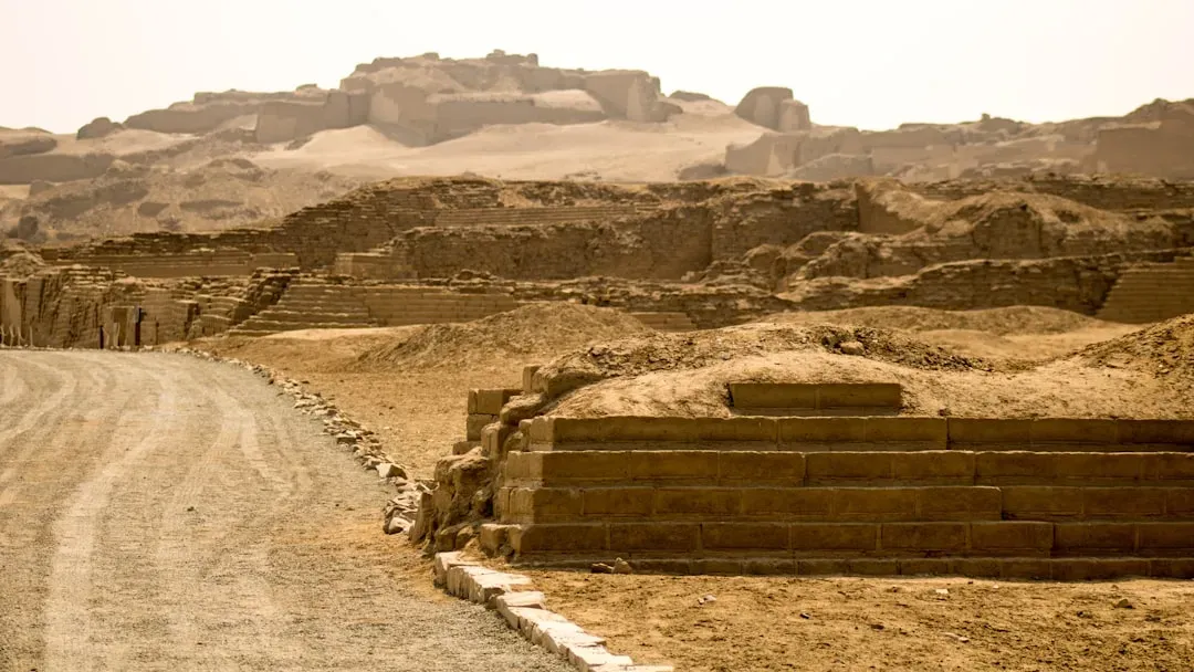 Adapting to Climate and Landscape (Image Credits: Unsplash)