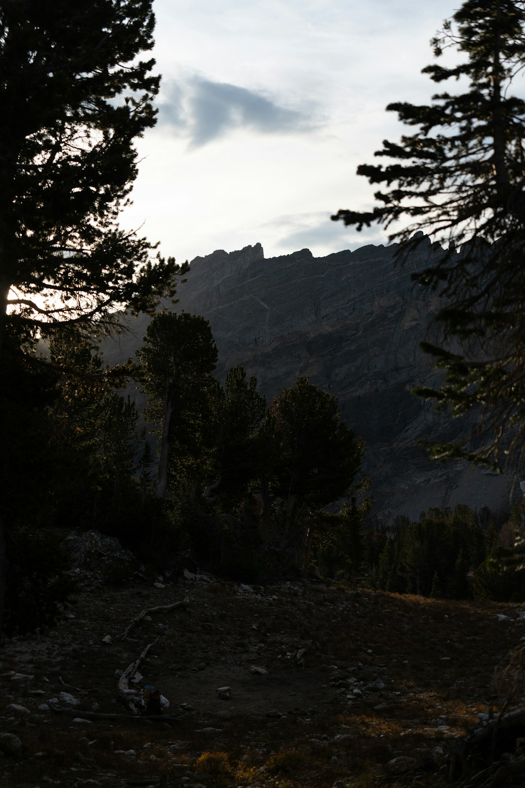 Global Perspectives (Image Credits: Unsplash)