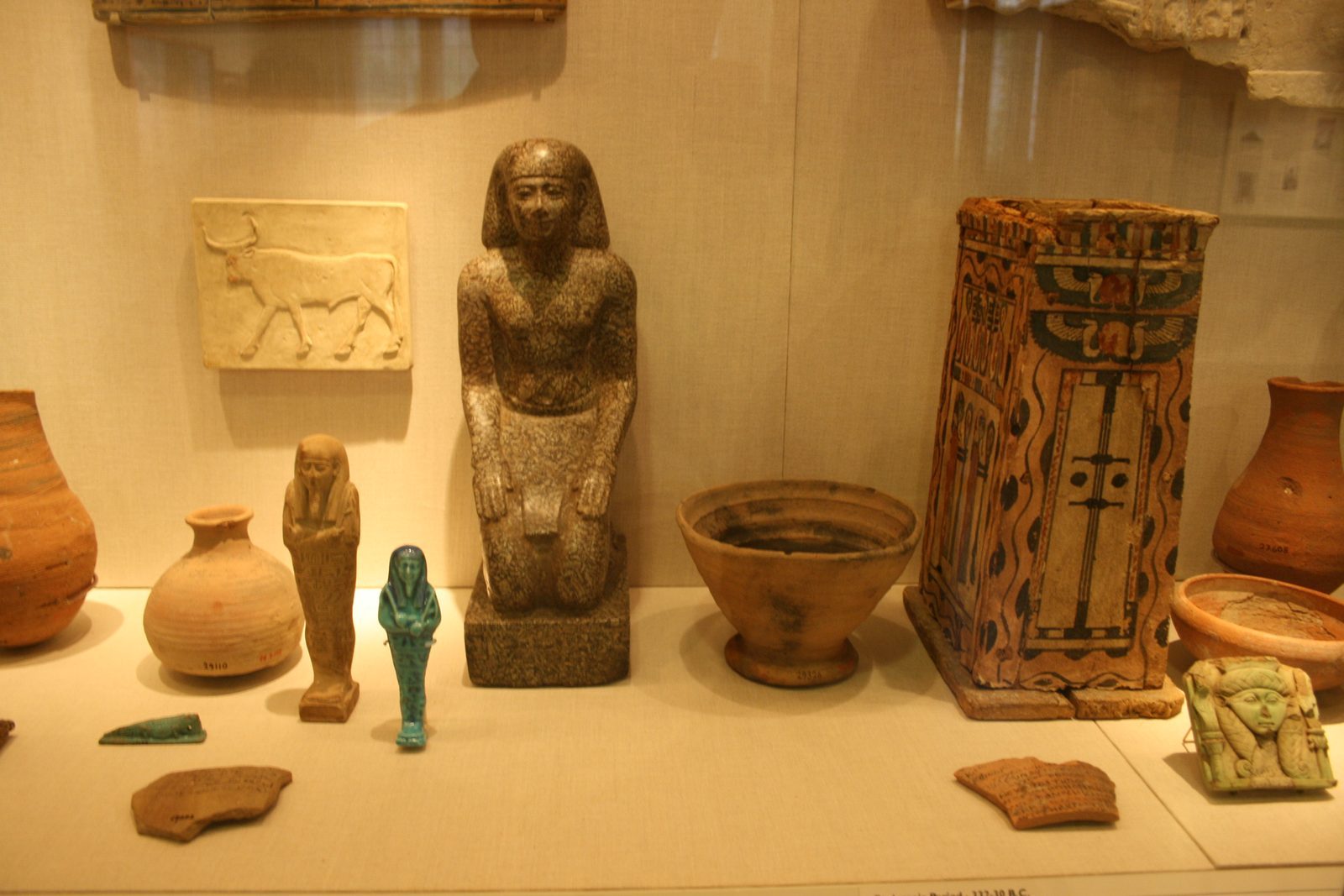 How You Can Engage: From Museum Visits to Citizen Science (Image Credits: Wikimedia)