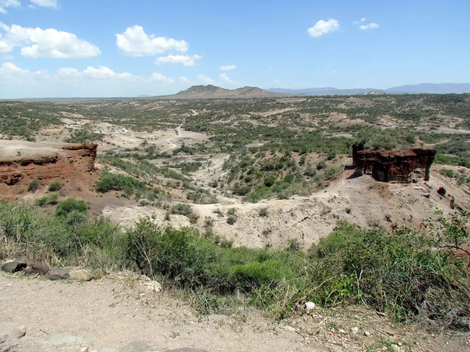 #11 – Olduvai Gorge and Fossil Streams in an East African Rift Valley (By David Berkowitz, CC BY 2.0)