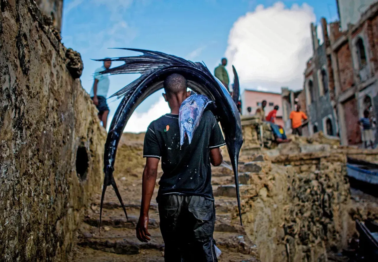 Runners Carried Fresh Fish From The Coast To Mountain Cities Daily (Image Credits: Pixabay)