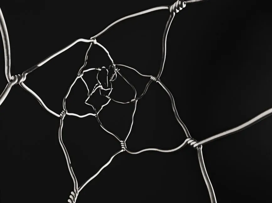 Entanglement, Nonlocality, and the Limits of Common Sense (Image Credits: Pexels)