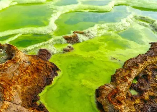 7. Dallol Hydrothermal Field, Ethiopia – Acid Pools and Alien Colors (Image Credits: Pexels)