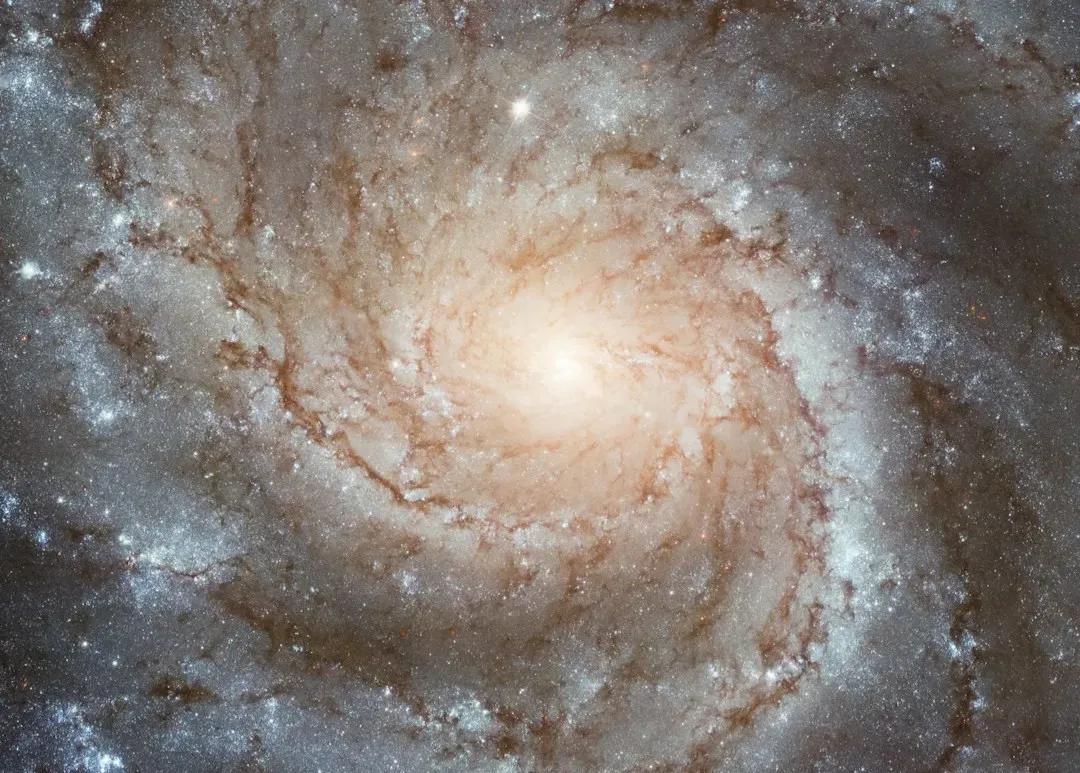 Conclusion: Living With a Looser Rulebook (Image Credits: Unsplash)