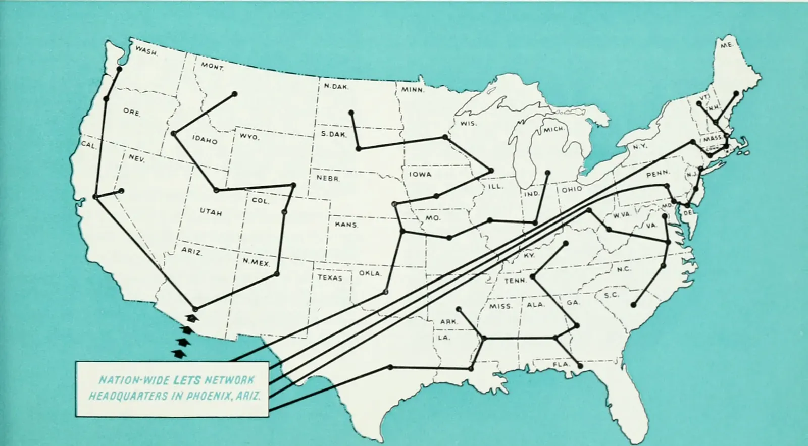 Plant “Nervous Systems”: Electrical Pulses Without a Brain (Image Credits: Wikimedia)