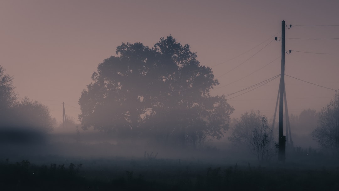 The Worldwide Phenomenon (Image Credits: Unsplash)