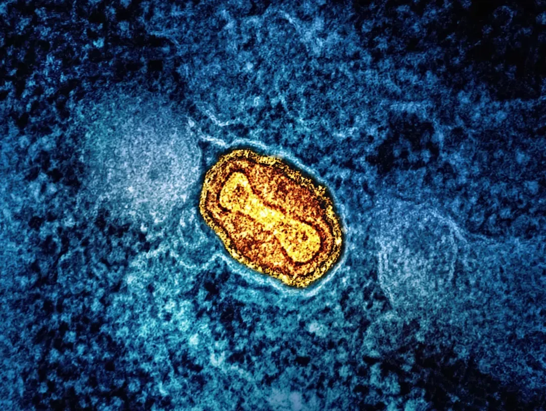 Life’s First Big Twist: We’re All Chimeras of Ancient Microbes (Image Credits: Unsplash)