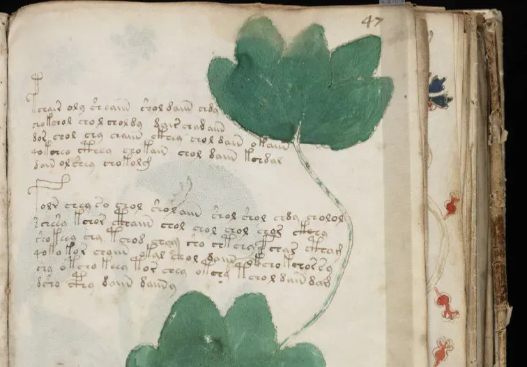 The Voynich Manuscript: The Book That No One Can Crack (Image Credits: Flickr)