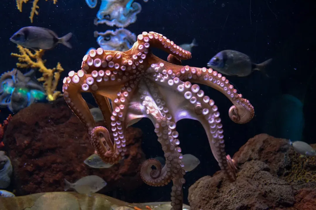 Octopus Intelligence That Feels Almost Alien (Image Credits: Unsplash)