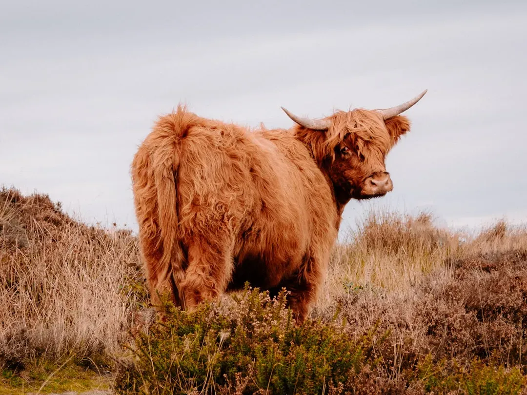 When the Stories Don’t Match the Science (Image Credits: Unsplash)
