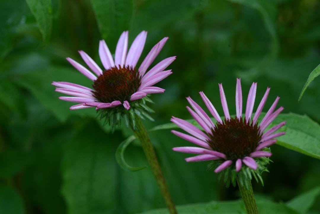 Call to Action (Image Credits: Unsplash)