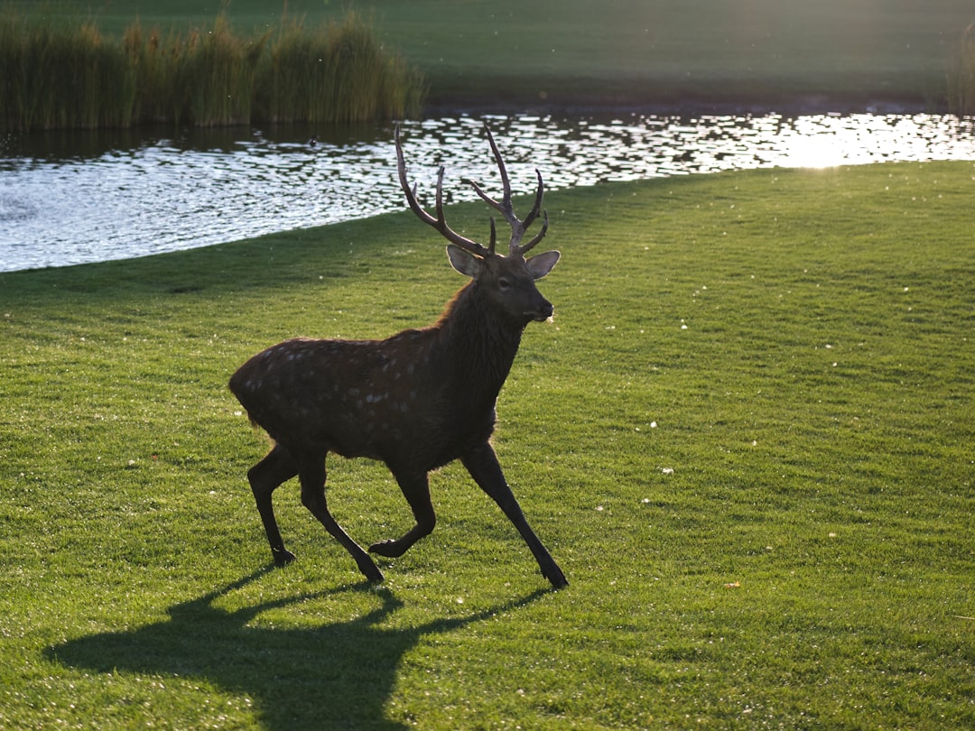 Colorado: Front Range Greenbelts and Golf Courses (Image Credits: Unsplash)