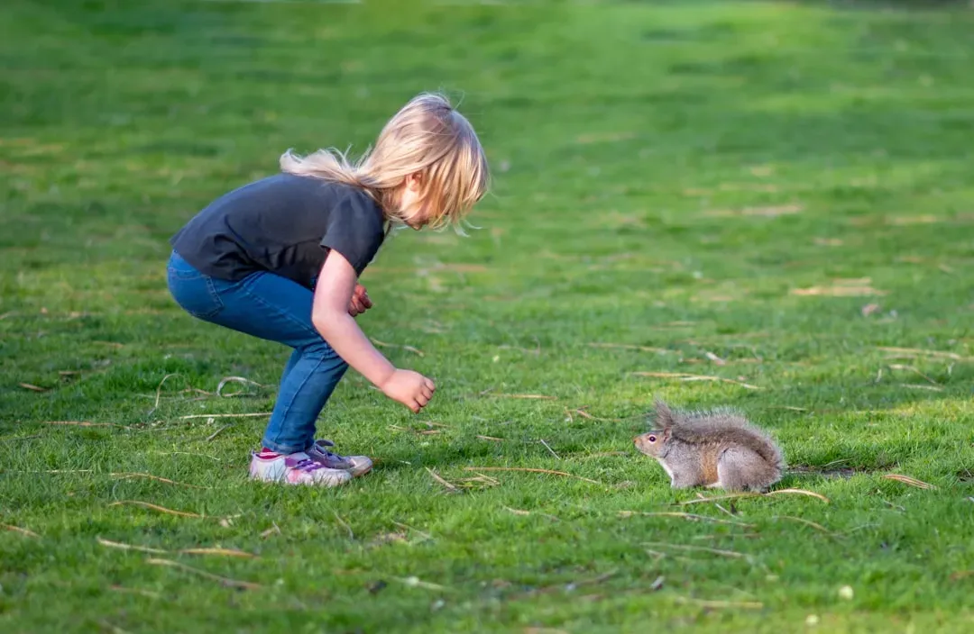 The Ancient Brain Hack: Why Animals Grab Kids’ Attention Instantly (Image Credits: Unsplash)