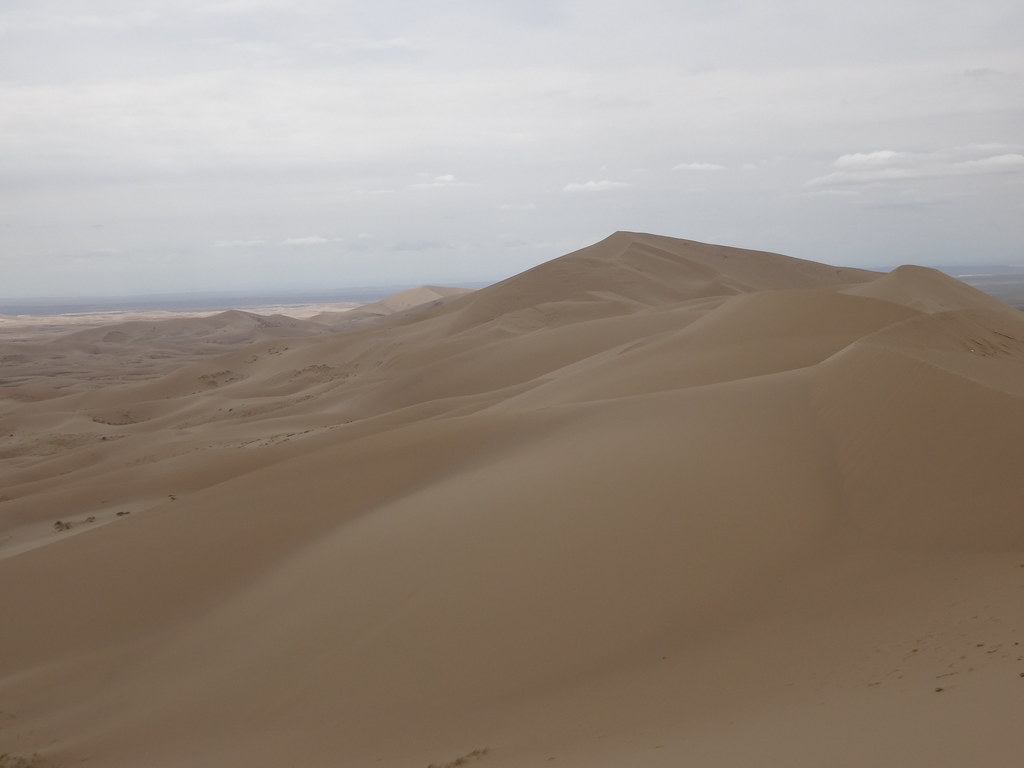 Environmental Factors That Influence Desert Songs (Image Credits: Flickr)