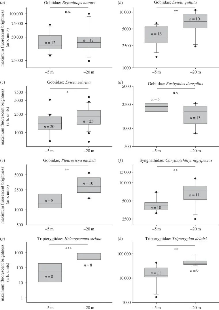 How Readers Can Engage With the Hidden World of Animal Senses (Image Credits: Wikimedia)