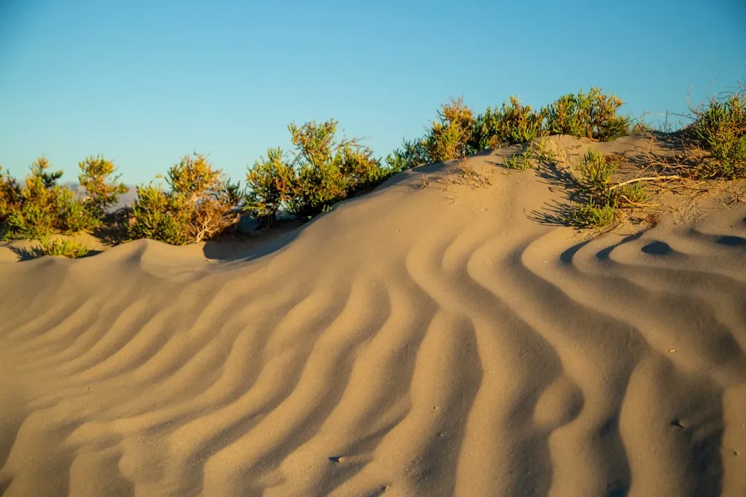5. The Ringing Desert: Booming and Singing Dunes (Image Credits: Unsplash)