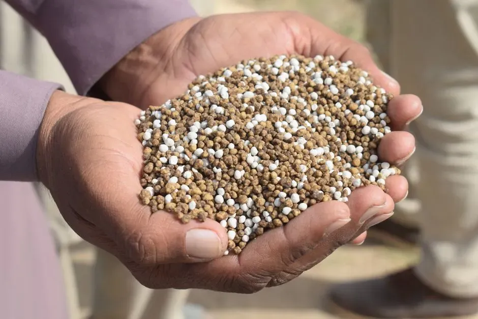 #8 - Synthetic Fertilizer Can Suppress Beneficial Fungi (Image Credits: Pexels)