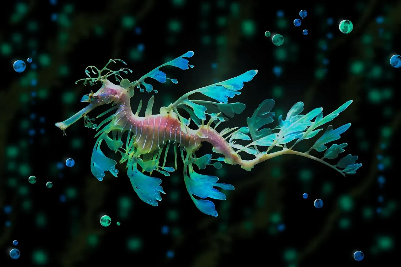 Leafy Seadragons: Masters of Disguise That Turn into Seaweed (Image Credits: Pixabay)