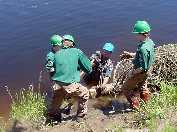 Call to Action (Image Credits: Wikimedia)