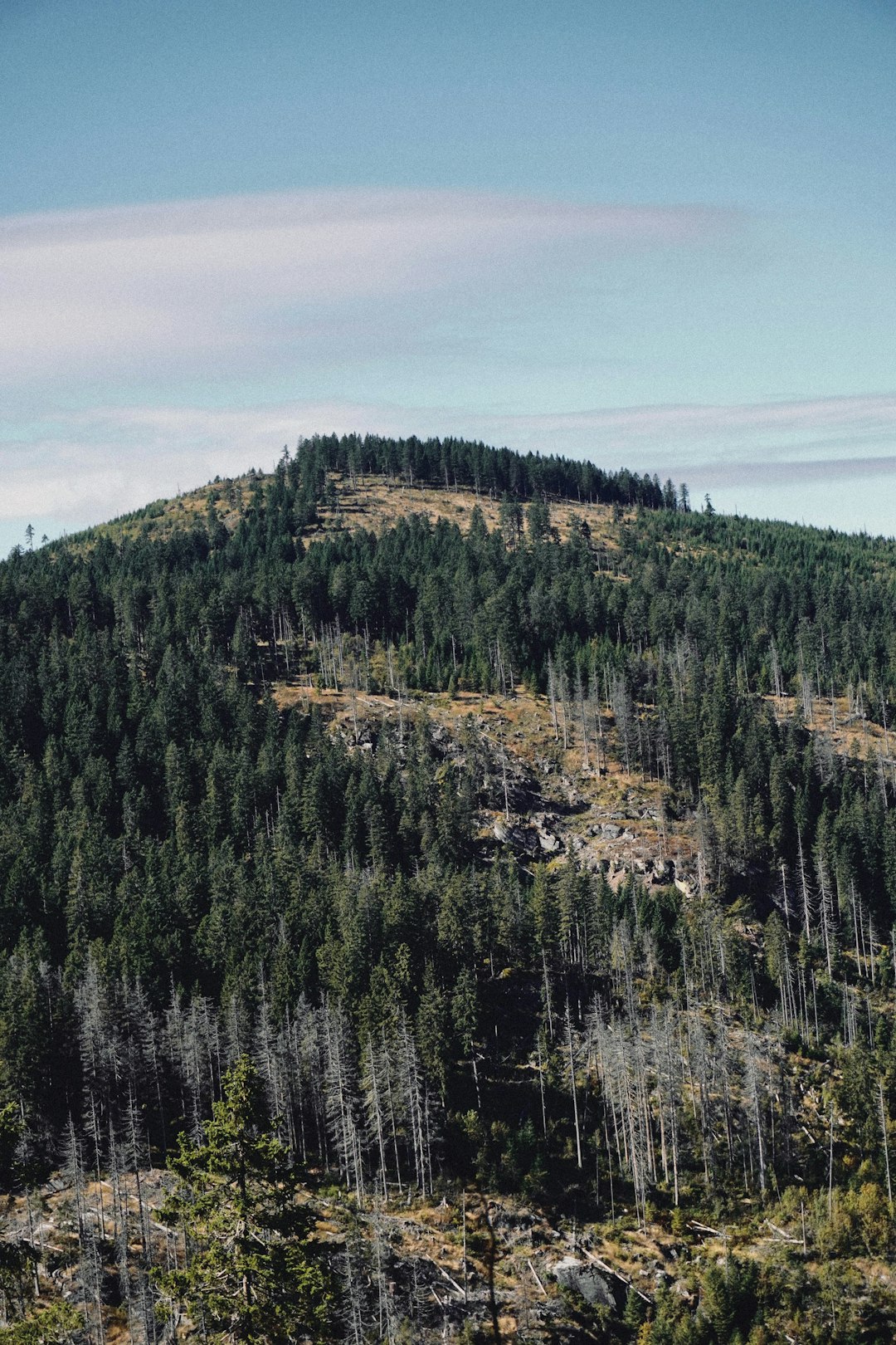 Human Hands, Planned and Unplanned (Image Credits: Unsplash)