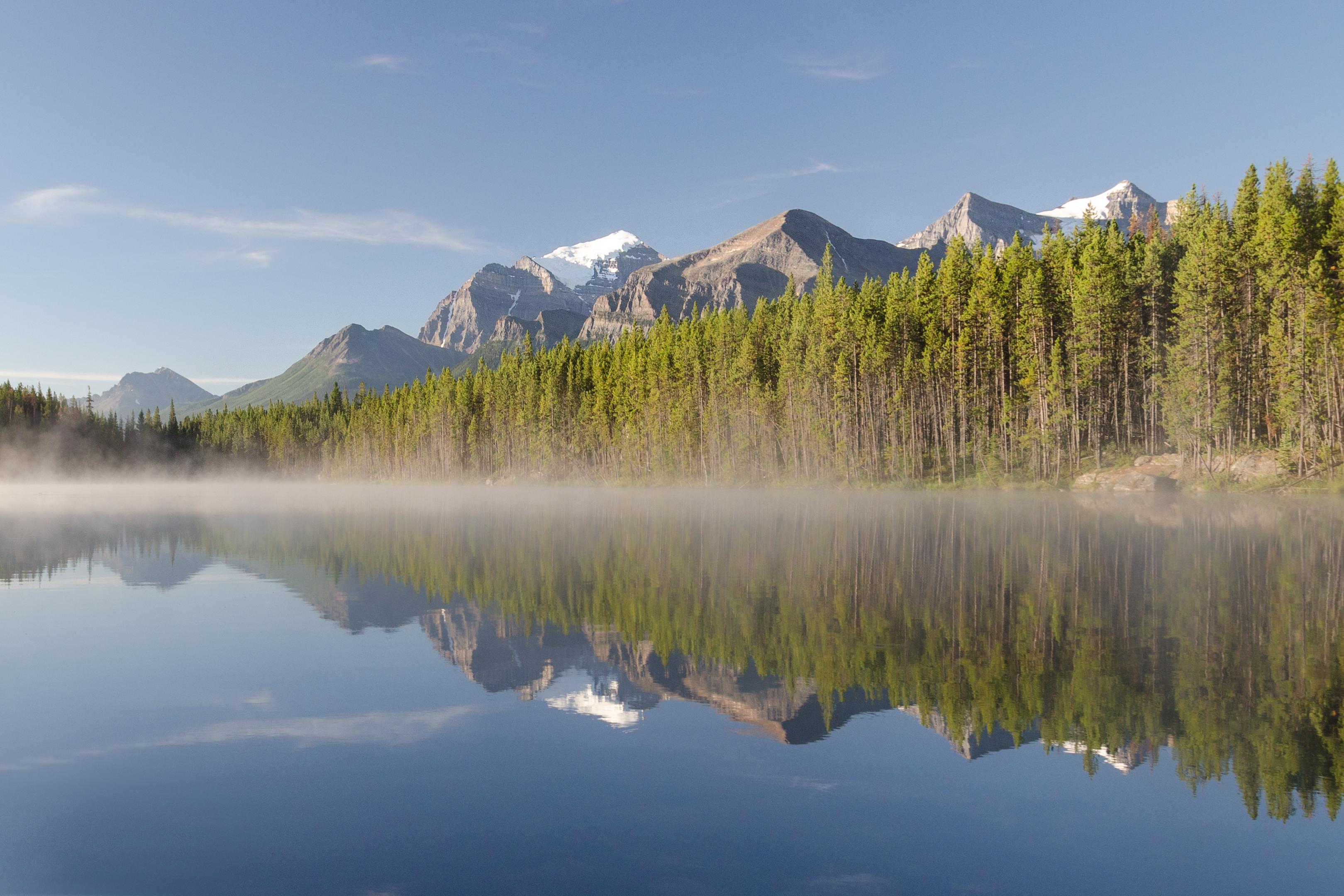 Why It Matters (Image Credits: Wikimedia)