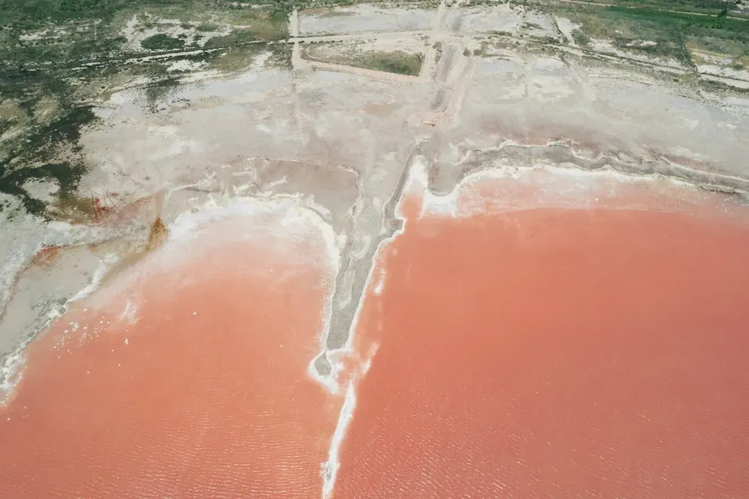 Why Some Lakes Only Turn Red Once a Year (Image Credits: Unsplash)