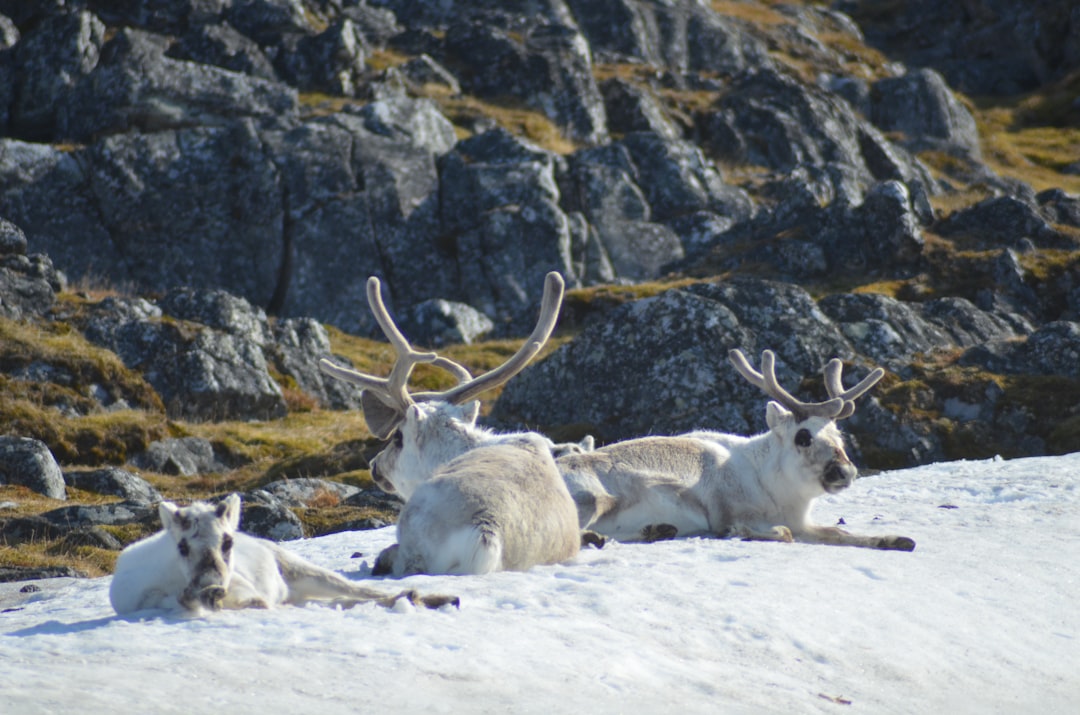 Conclusion: A Race Against Time (Image Credits: Unsplash)