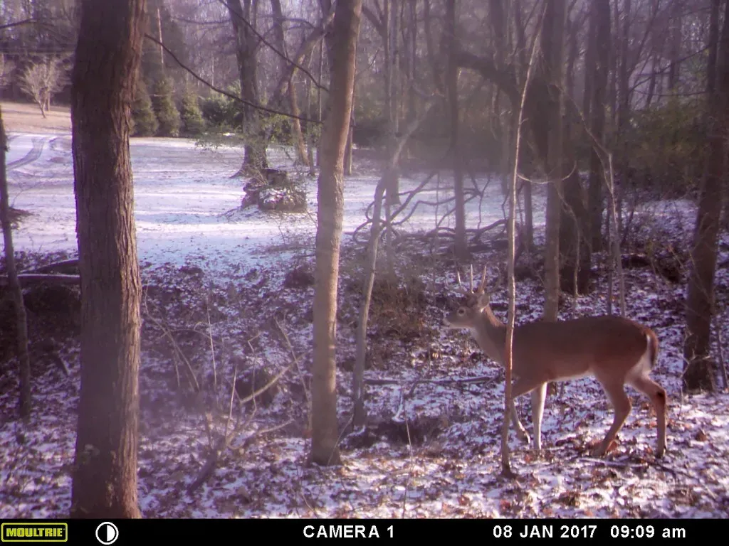 Behavioral Analysis and Population Health Monitoring (Image Credits: Flickr)