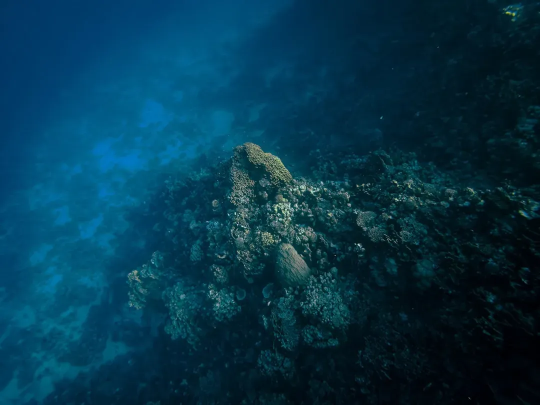 #10 Submerged “Walls” Shadowing Fault Lines (Image Credits: Unsplash)