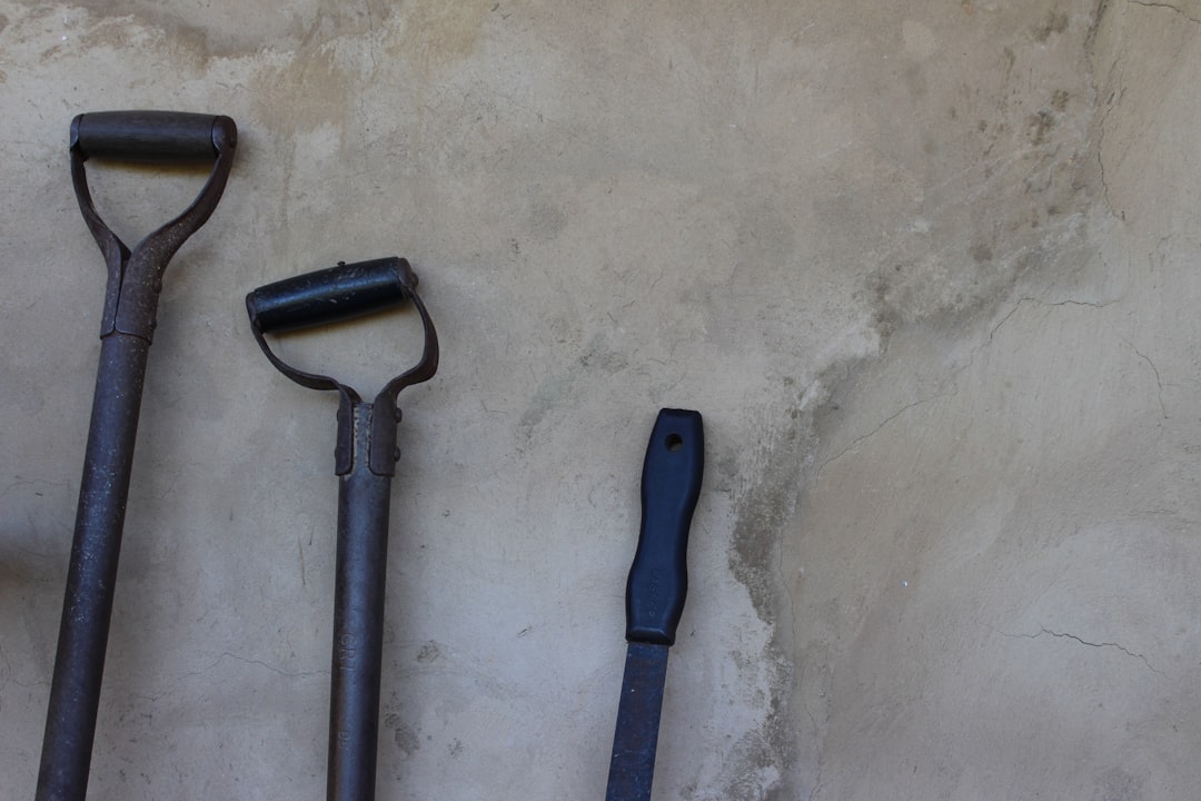 From Ancient Tools to Modern Science (Image Credits: Unsplash)