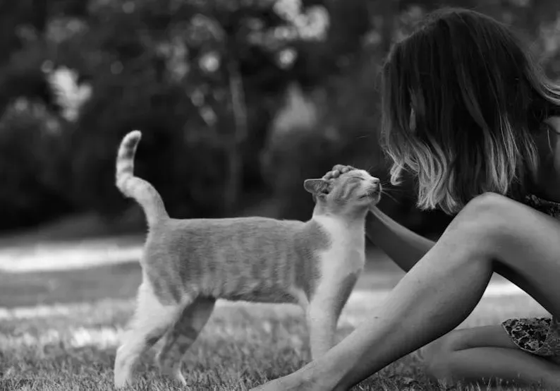 Cats, Horses, And Other Pets: Do They Know More Than They Let On? (Image Credits: Pexels)