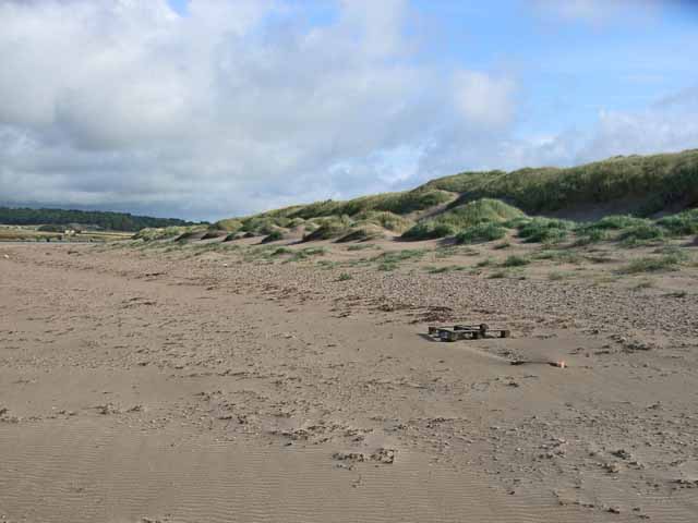 Warren Dunes State Park, Michigan (Image Credits: Wikimedia)