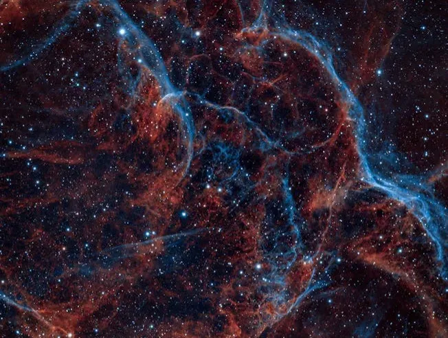 The Dark Forest: A Universe Full of Hunters (Image Credits: Pexels)