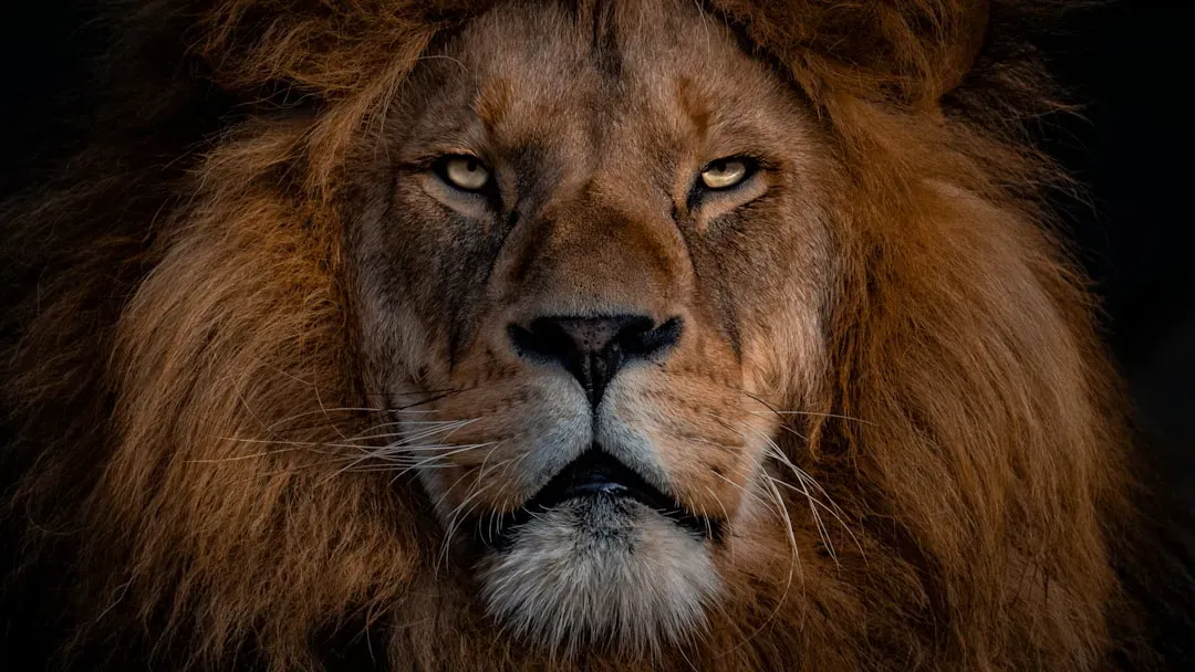 Why You Root for Apex Predators Even When You Shouldn’t (Image Credits: Unsplash)