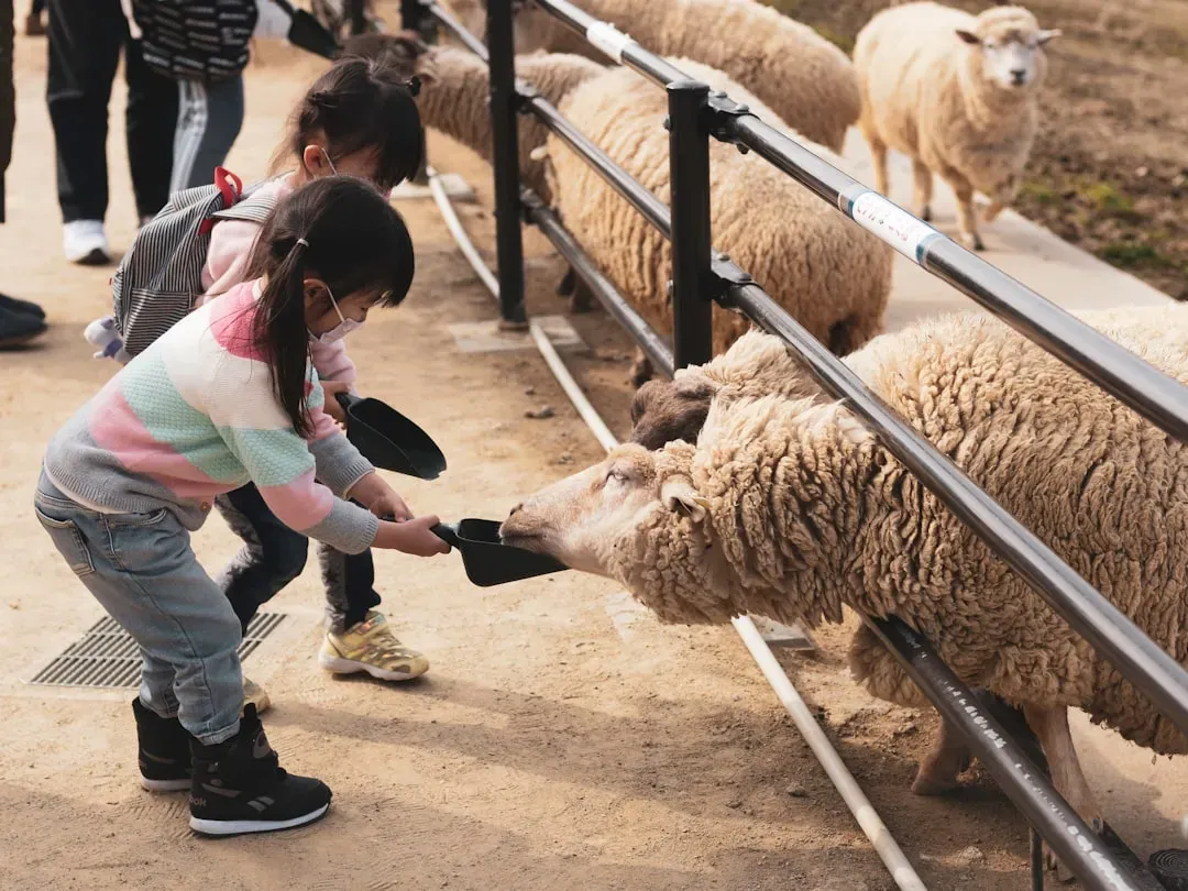 Children’s Brains Know This Instinctively (Image Credits: Unsplash)