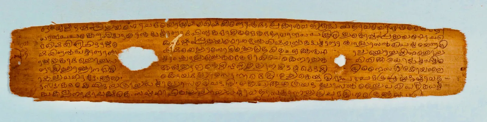 #1 - The Rigveda's Meter That Hides Error-Correcting Code (By Ms Sarah Welch, CC0)