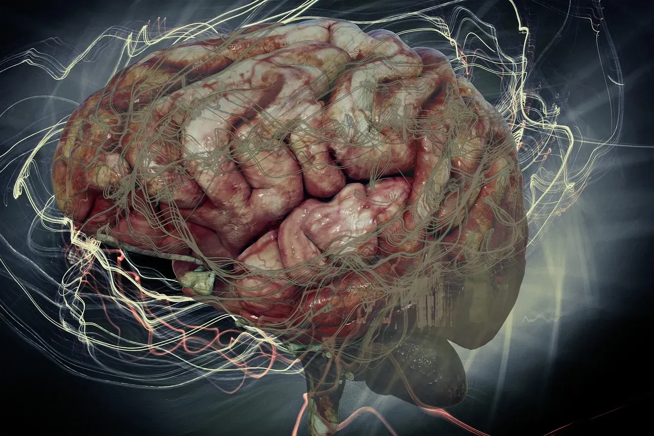 #13 - Your Brain Never Recorded Anything In the First Place (Image Credits: Pixabay)