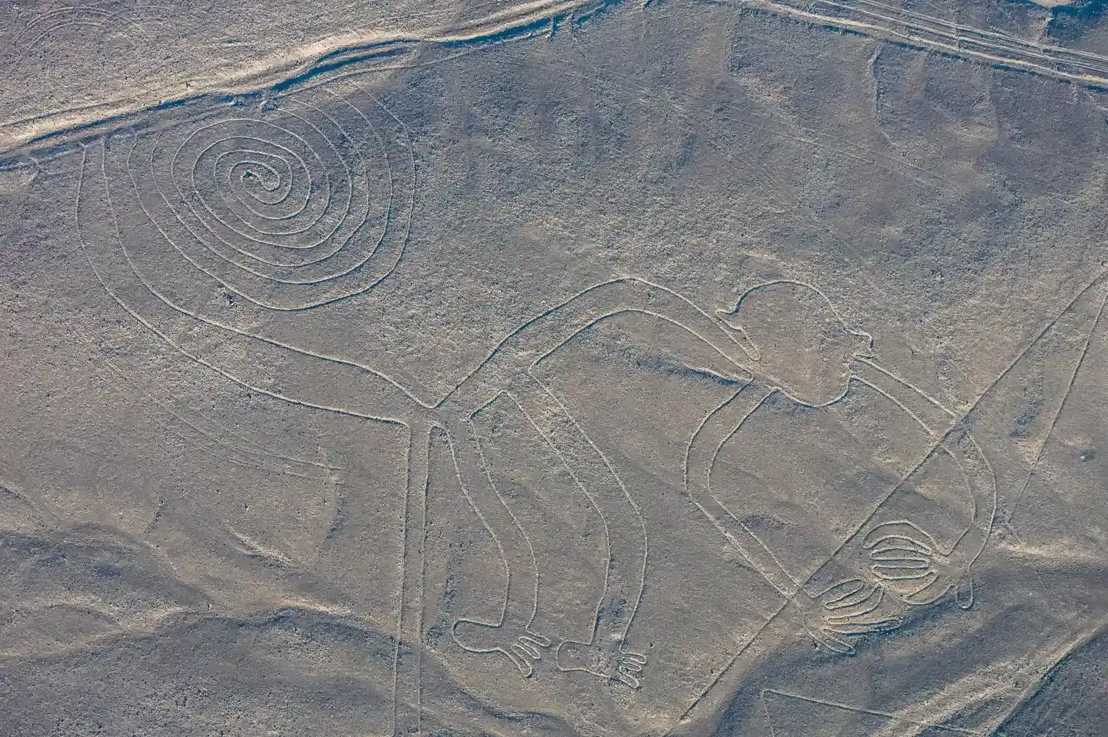 2. The Nazca Lines: Messages on a Desert Canvas (By Diego Delso, CC BY-SA 4.0)