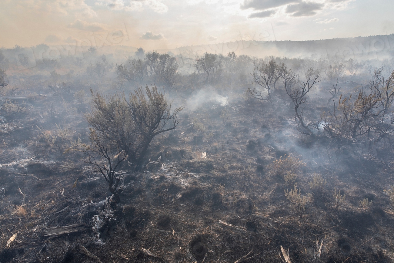 Global Perspectives (Image Credits: Rawpixel)