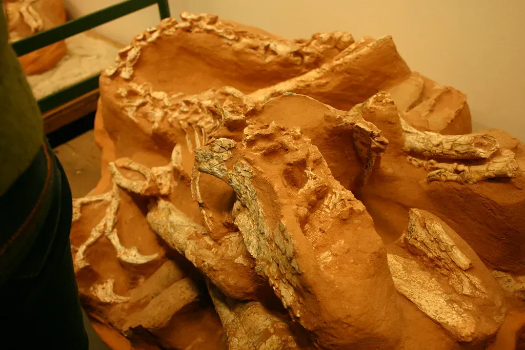 #12 - The "Too-Young" Dinosaur Soft Tissue Problem (Steve Starer, Flickr, CC BY 2.0)