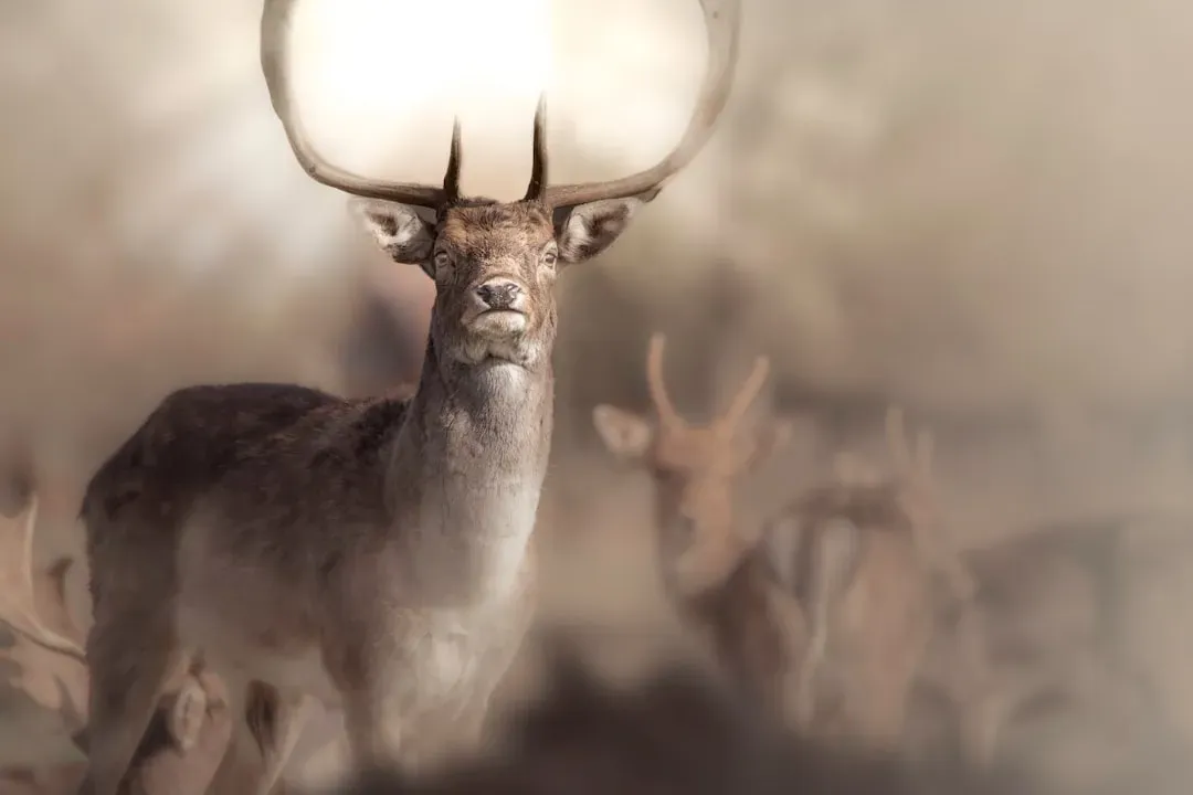 #3 Instinct Over Image: How Animals Reflect Your True Reactions (Image Credits: Unsplash)