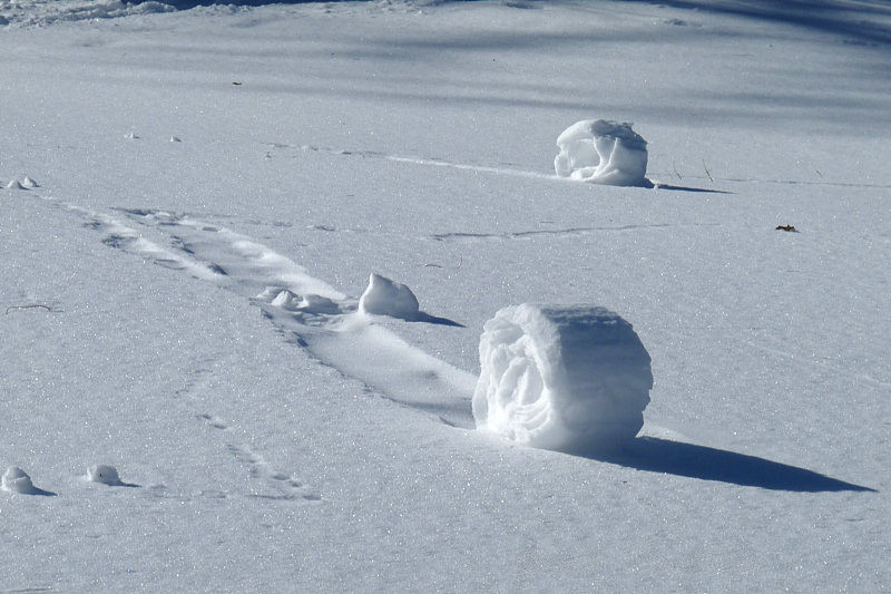 Snow Rollers: Nature's Mysterious Snow Donuts (Image Credits: Wikimedia)