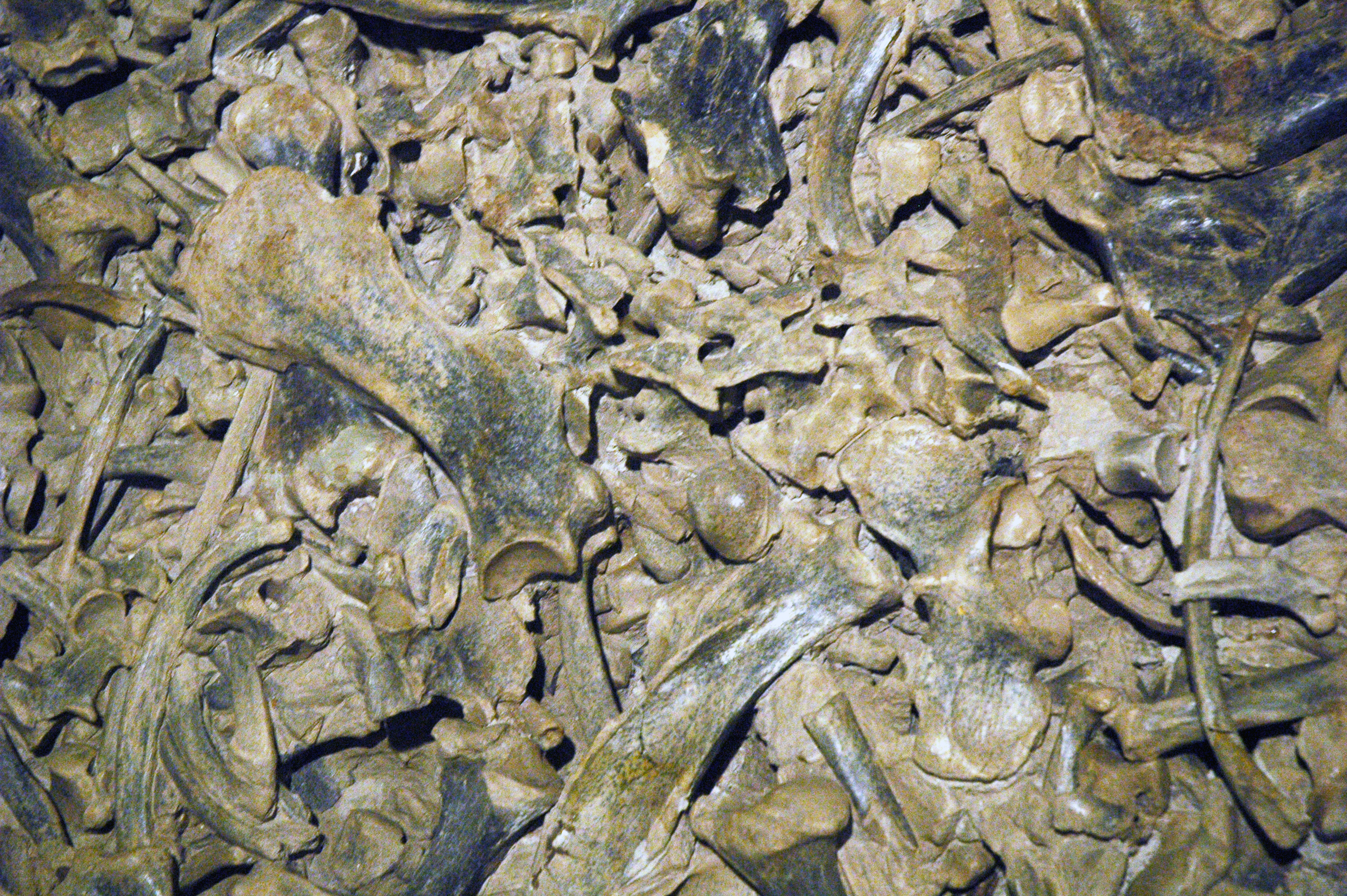 Foodways and Footprints of Settlement (Image Credits: Wikimedia)
